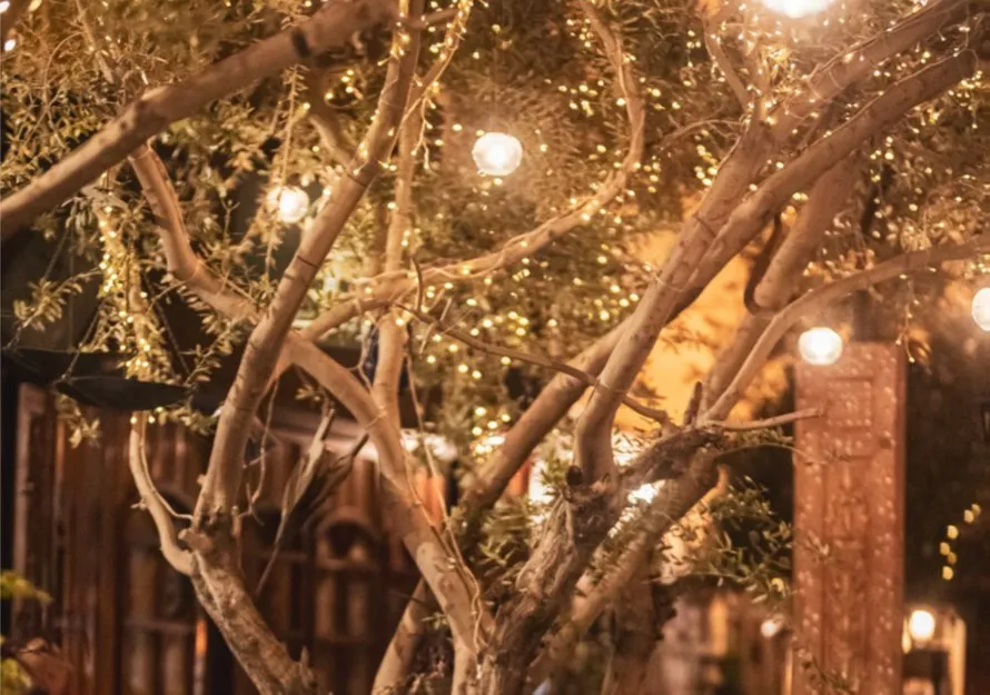 A canopy of string lights over the tables