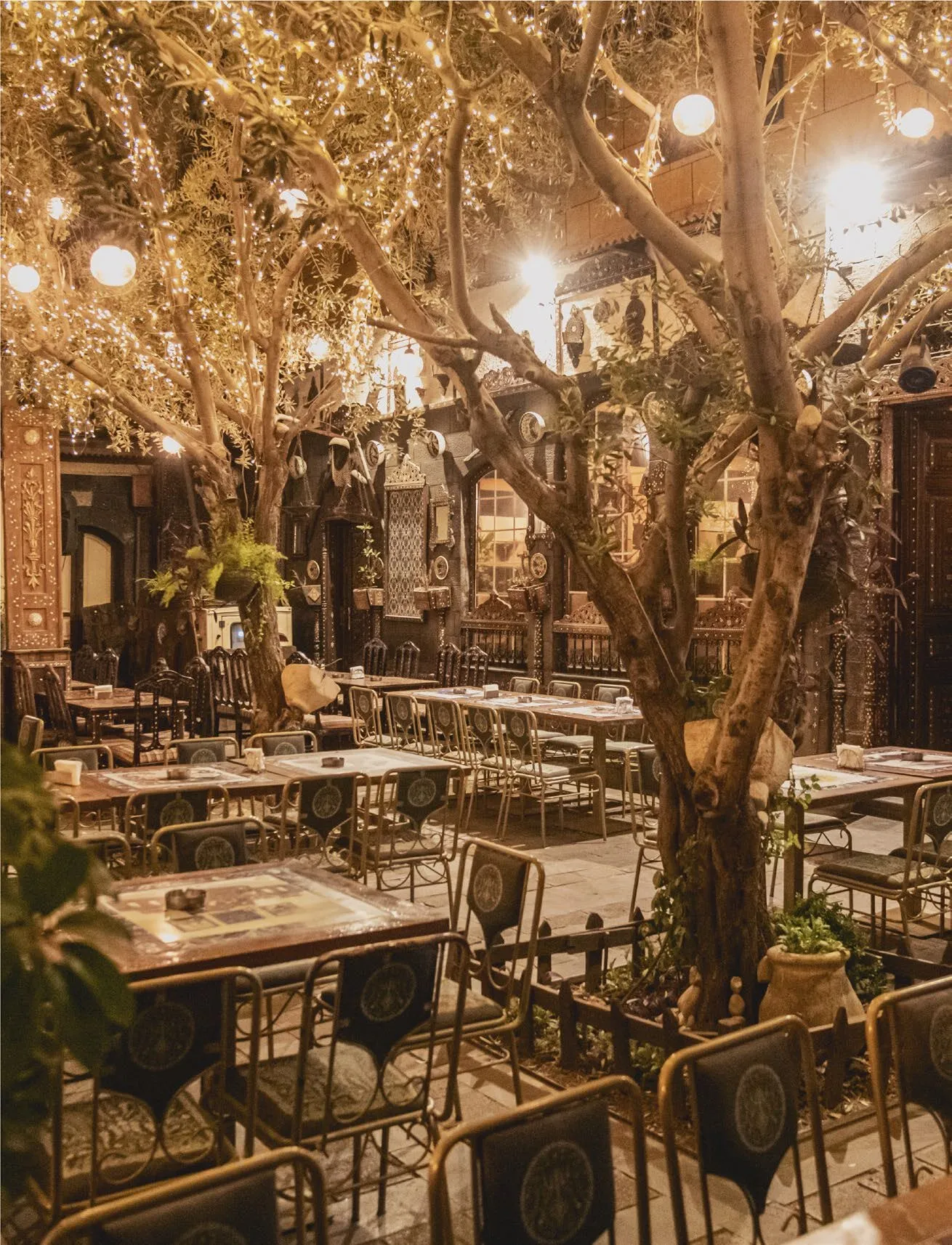 Guests seated beneath an olive tree hung with lanterns