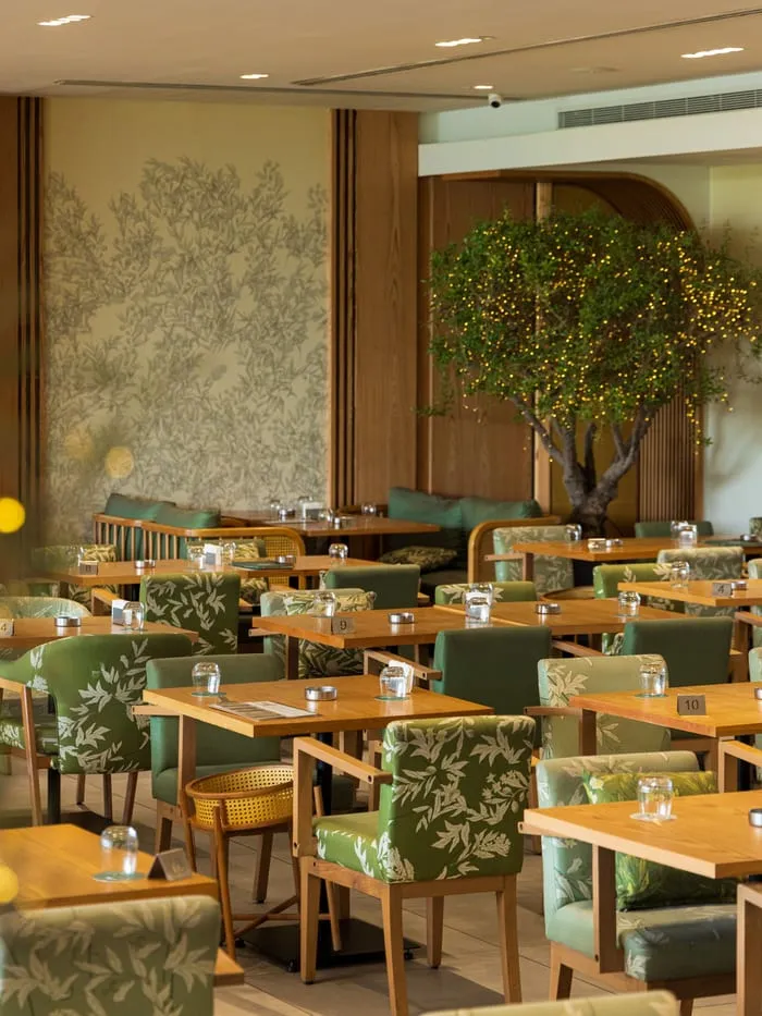 The dining hall, olive-print chairs and a tree of lights
