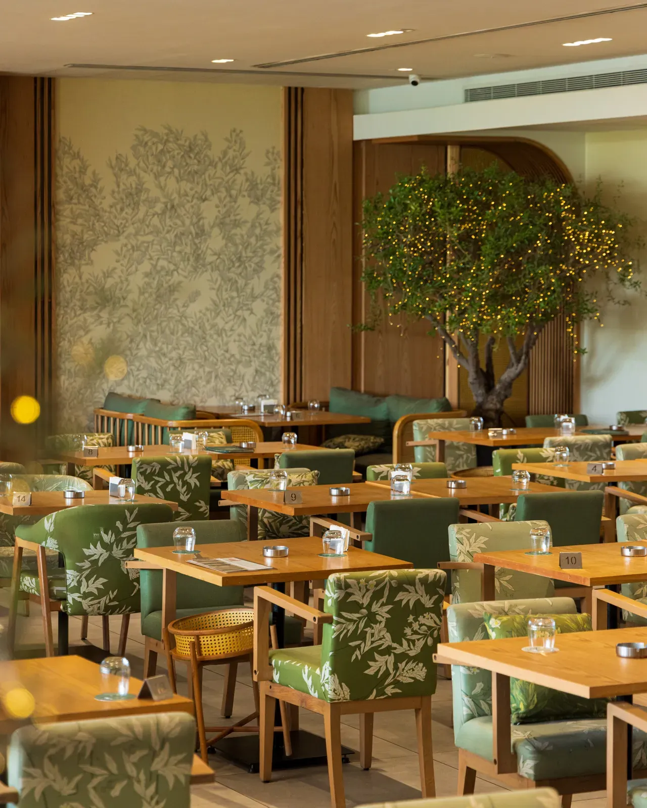 The dining room around its olive tree, in green and oak