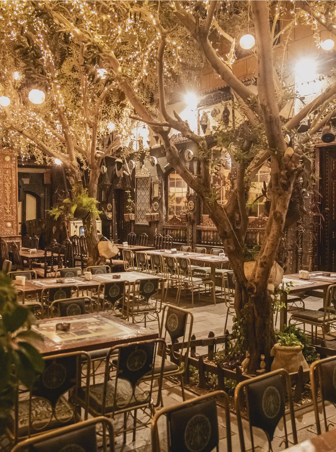 Olive trees strung with warm lights above a room of tables
